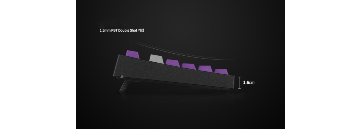 Bàn phím cơ Leopold FC900RPD (USB/PBT Doubleshot/Grey Purple/Brown sw)  có độ dốc khoa học